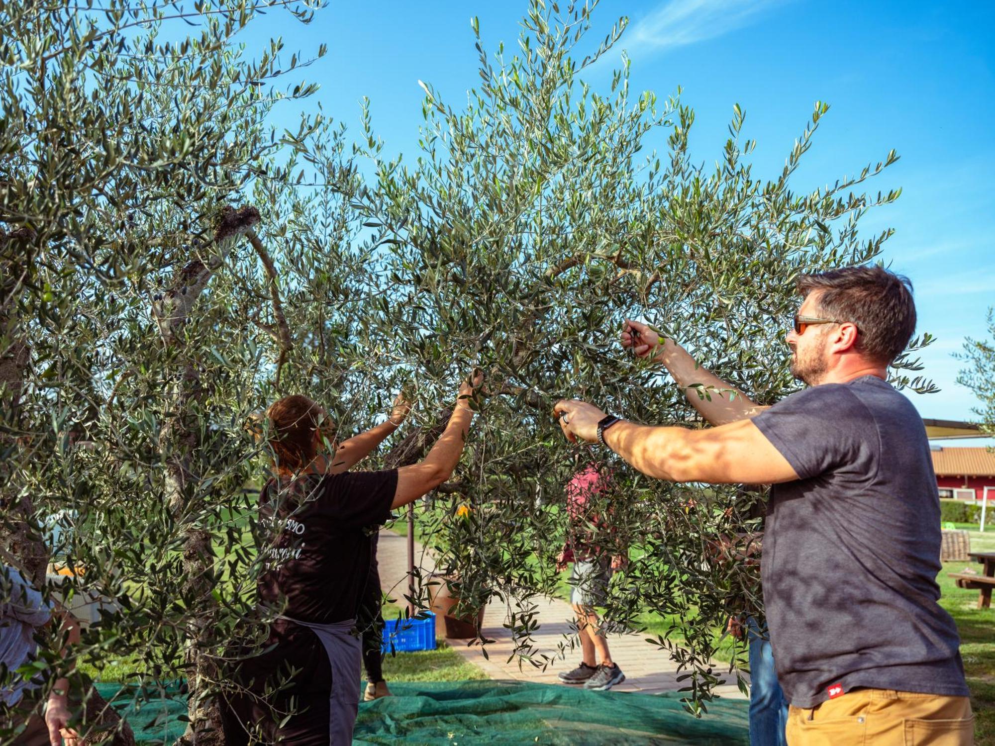 B&B Diacceroni Villamagna  Dış mekan fotoğraf